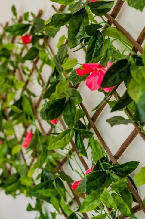 Amazing Location & Great Price Apartamento Cancún