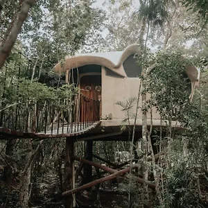 Ikalar Camping Akumal
